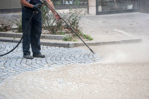 Best Gutter Cleaning  in Great Neck, NY