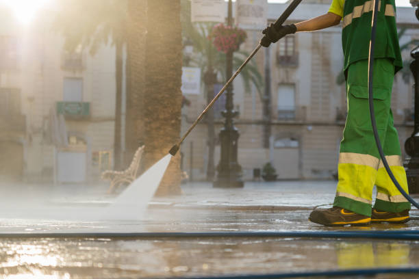 Best Dumpster Area Cleaning  in Great Neck, NY